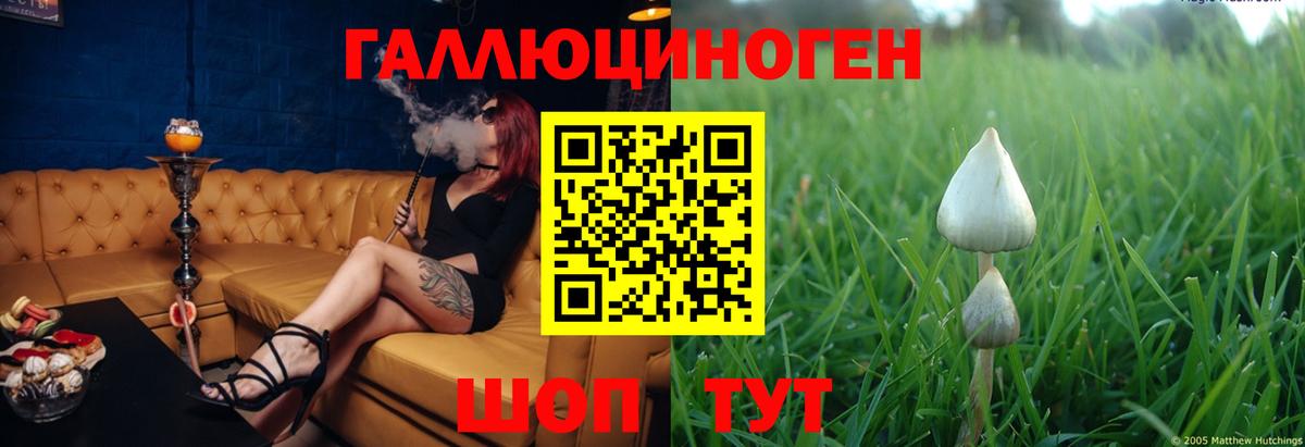 Псилоцибиновые грибы ЛСД Сибай